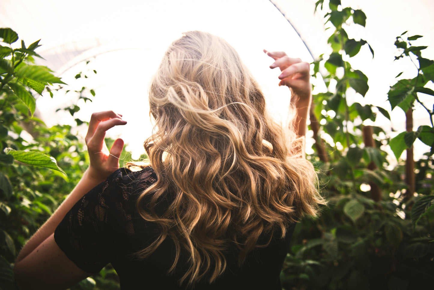 The Ultimate Guide to Growing Long, Healthy Hair - FREE Download