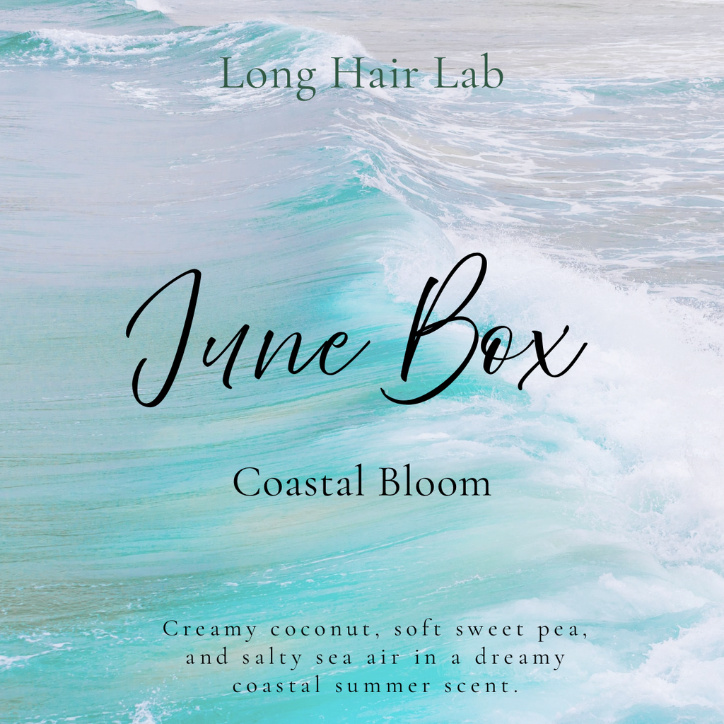 June Coastal Bloom Box (Limited Edition)